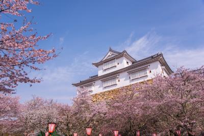津山市の起業支援《起業資金を投資します》
