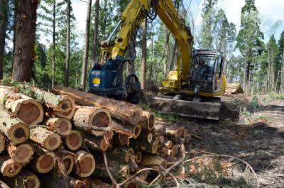 林業の経営は儲かる《起業資金を投資します》