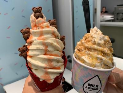 アイスクリーム屋さんの開業【資金調達マッチング】儲かるコツ